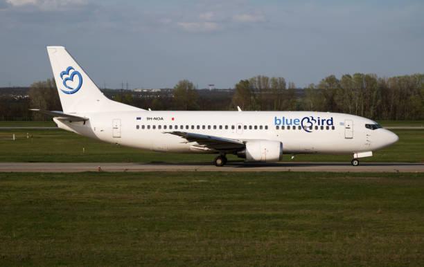 bluebird-airline-group